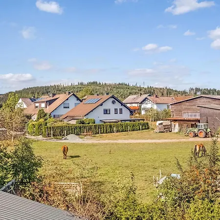 Holiday home In Nahe Skigebiet *