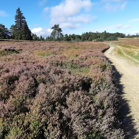 Prázdninový dům In Nahe Skigebiet