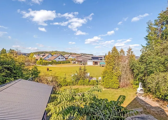 In Nahe Skigebiet Hébergement de vacances *