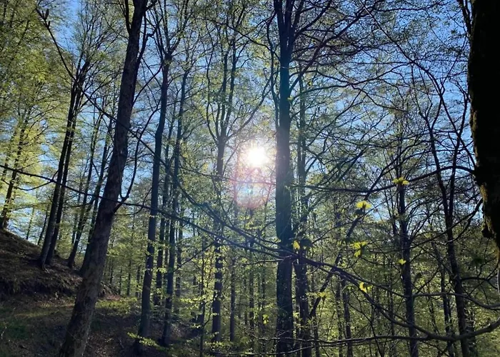 In Nahe Skigebiet Hébergement de vacances Medebach