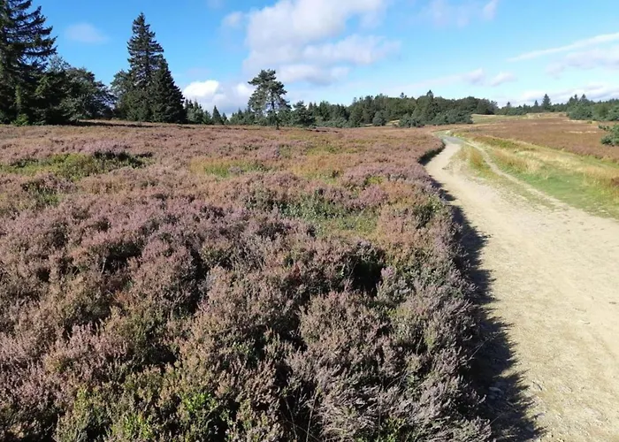 Hébergement de vacances In Nahe Skigebiet